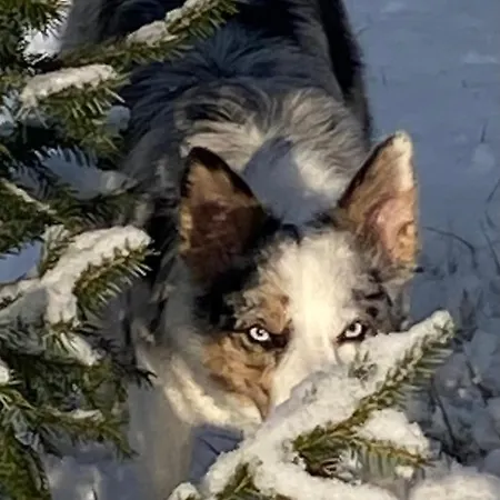 Apartmán Bielanska Ostoja