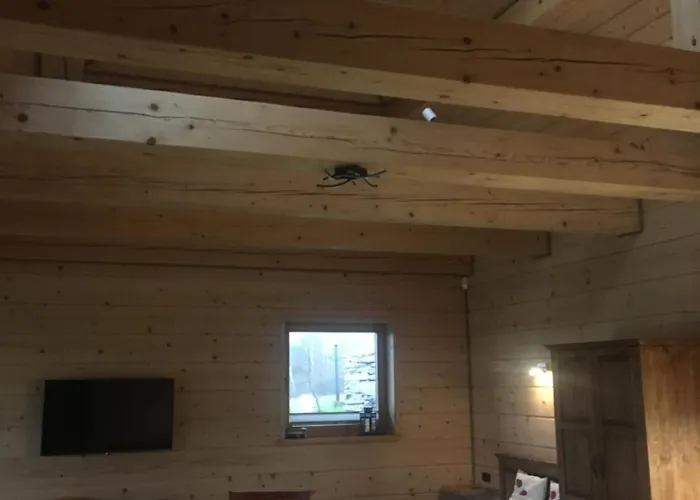 Bielanska Ostoja Appartement